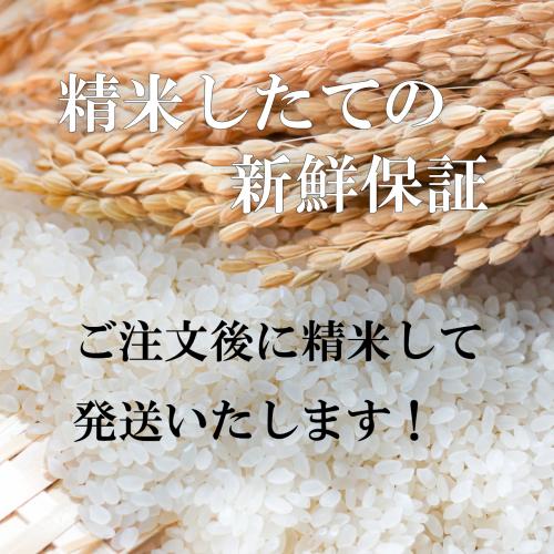 令和7年産 特別栽培米 滋賀産 プレミアム コシヒカリ 5kg 近江米 送料無料 玄米 白米 7分づき 5分づき 3分づき つきたて米  