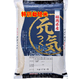 新米 令和７年産 特別栽培米 福岡県産 元気つくし 5kg 送料無料 玄米 白米 7分づき 5分づき 3分づき つきたて米 
