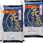 新米 令和７年産 特別栽培米 福岡県産 元気つくし 10kg (5kg×2袋) 送料無料 玄米 白米 7分づき 5分づき 3分づき つきたて米 