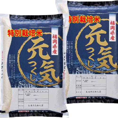 新米 令和７年産 特別栽培米 福岡県産 元気つくし 10kg (5kg×2袋) 送料無料 玄米 白米 7分づき 5分づき 3分づき つきたて米 