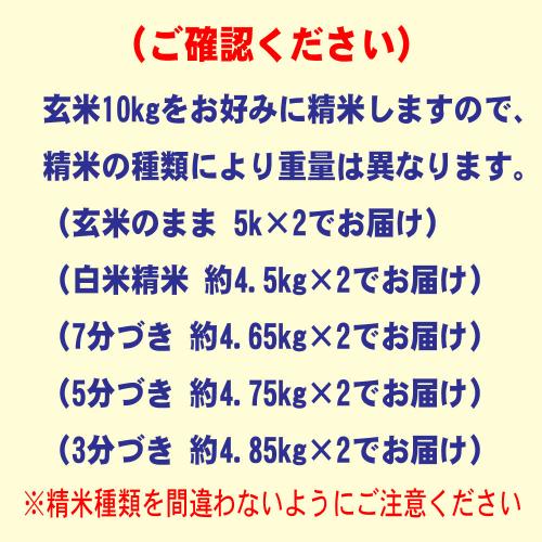 新米 令和７年産 特別栽培米 福岡県産 元気つくし 10kg (5kg×2袋) 送料無料 玄米 白米 7分づき 5分づき 3分づき つきたて米 