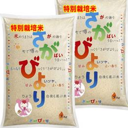 特別栽培米 さがびより 佐賀県産 10kg  (5kg×2袋) 送料無料 玄米 白米 7分づき 5分づき 3分づき オーダー精米 令和6年産