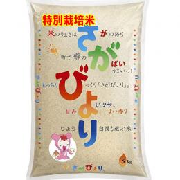 特別栽培米 さがびより 佐賀県産 5kg 送料無料 玄米 白米 7分づき 5分づき 3分づき オーダー精米 令和6年産